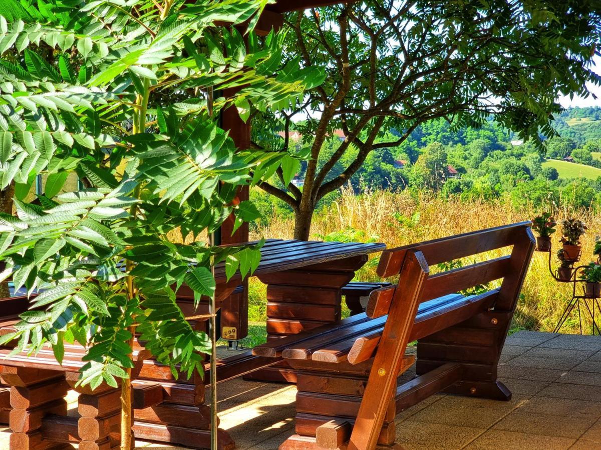 Guesthouse Mreznica- Mreznicka Idila Resort Galovic-Selo المظهر الخارجي الصورة