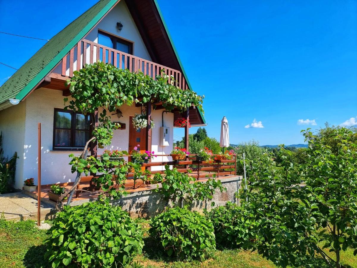 Guesthouse Mreznica- Mreznicka Idila Resort Galovic-Selo المظهر الخارجي الصورة